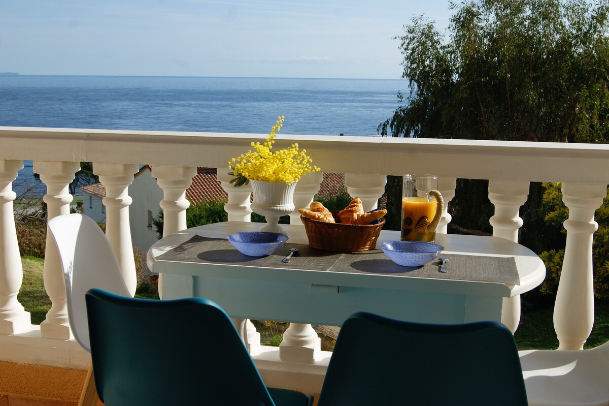 Les Lauriers - View on the sea and Corsican Cap