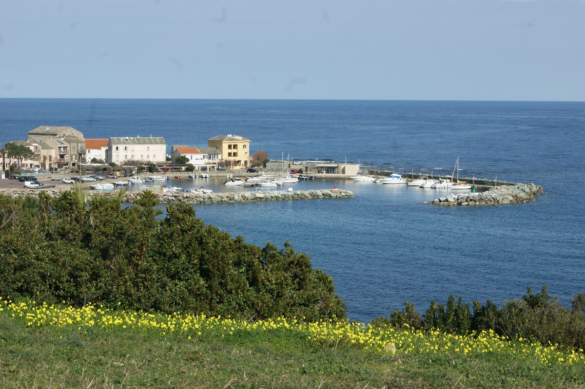 Les Lauriers - View on the sea and Corsican Cap