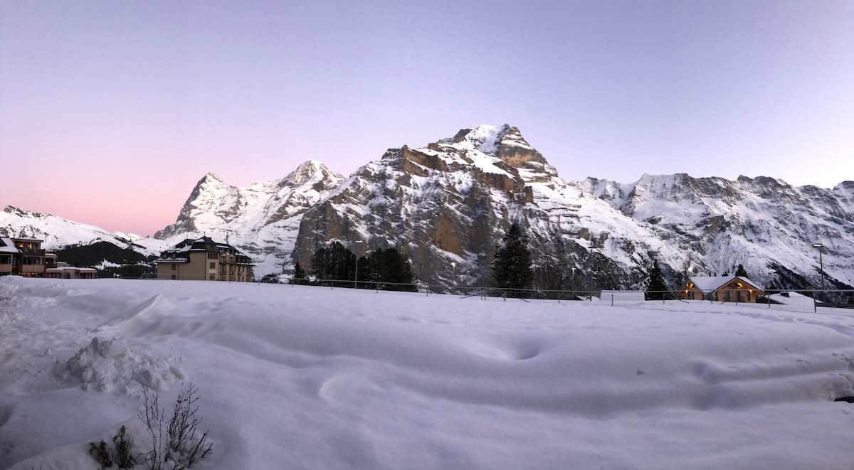 位于Mürren的单间公寓，可欣赏山景