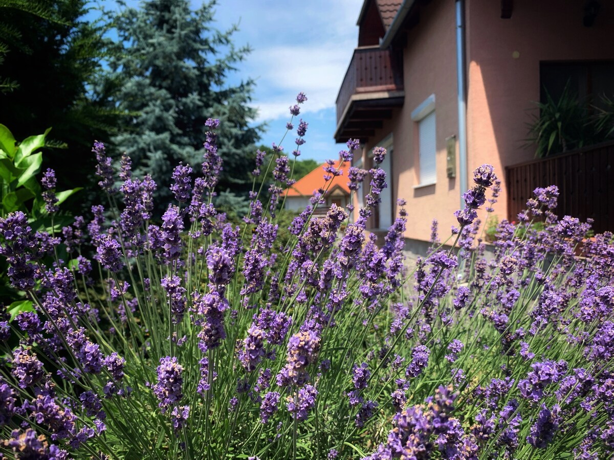 Enikő Guesthouse