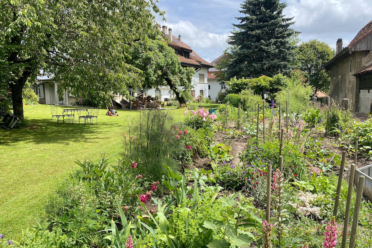 Loft calme et verdoyant Fribourg