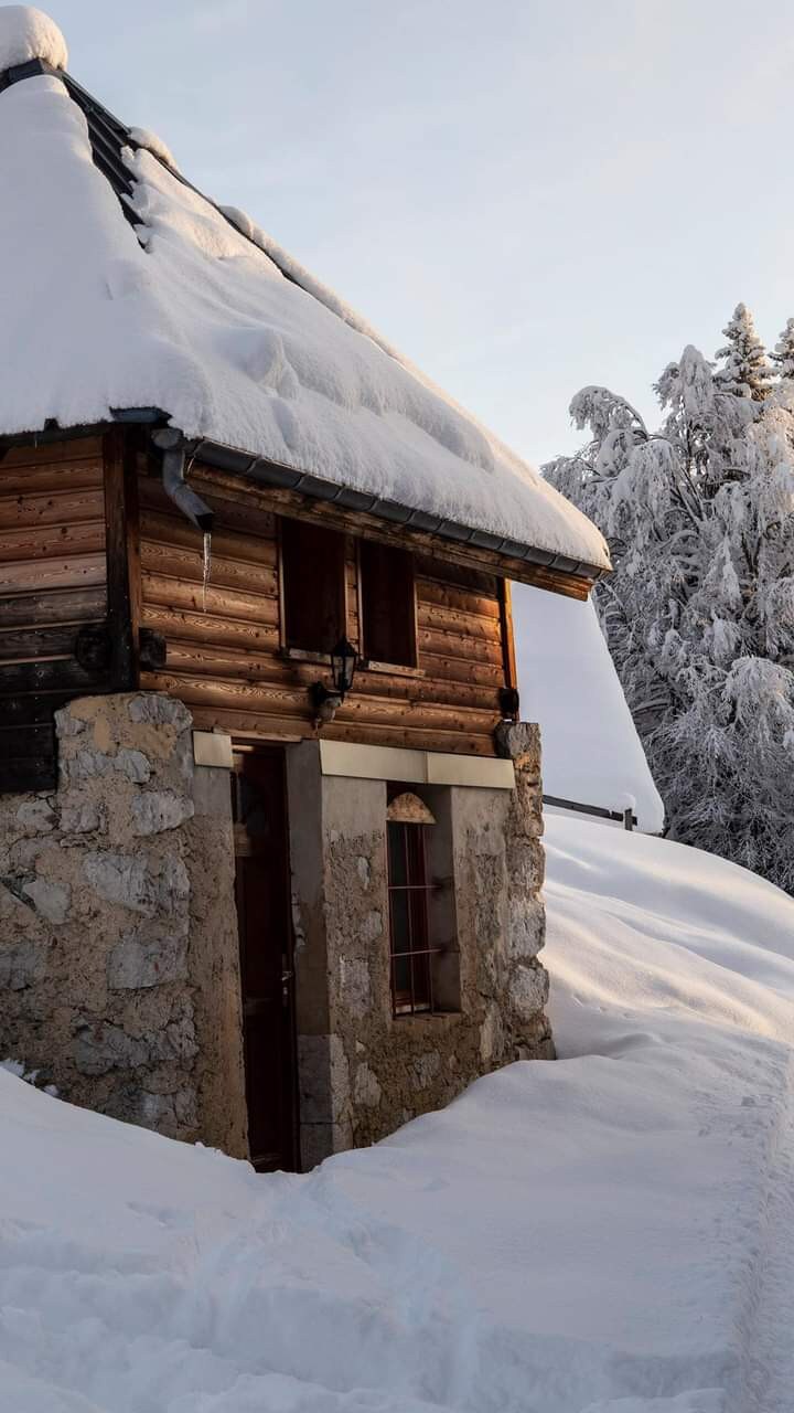 小型高山度假木屋， "le Mignot"