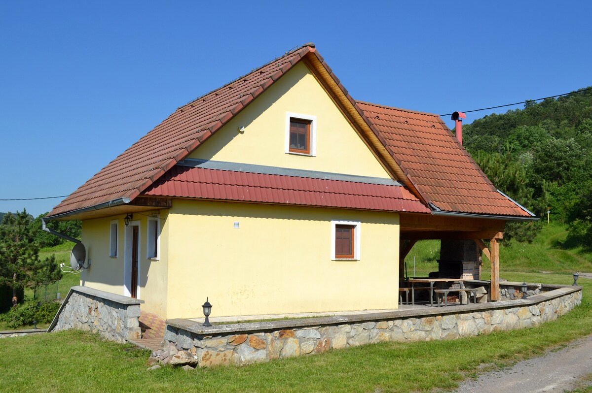 Stara hora葡萄园区的乡村小屋