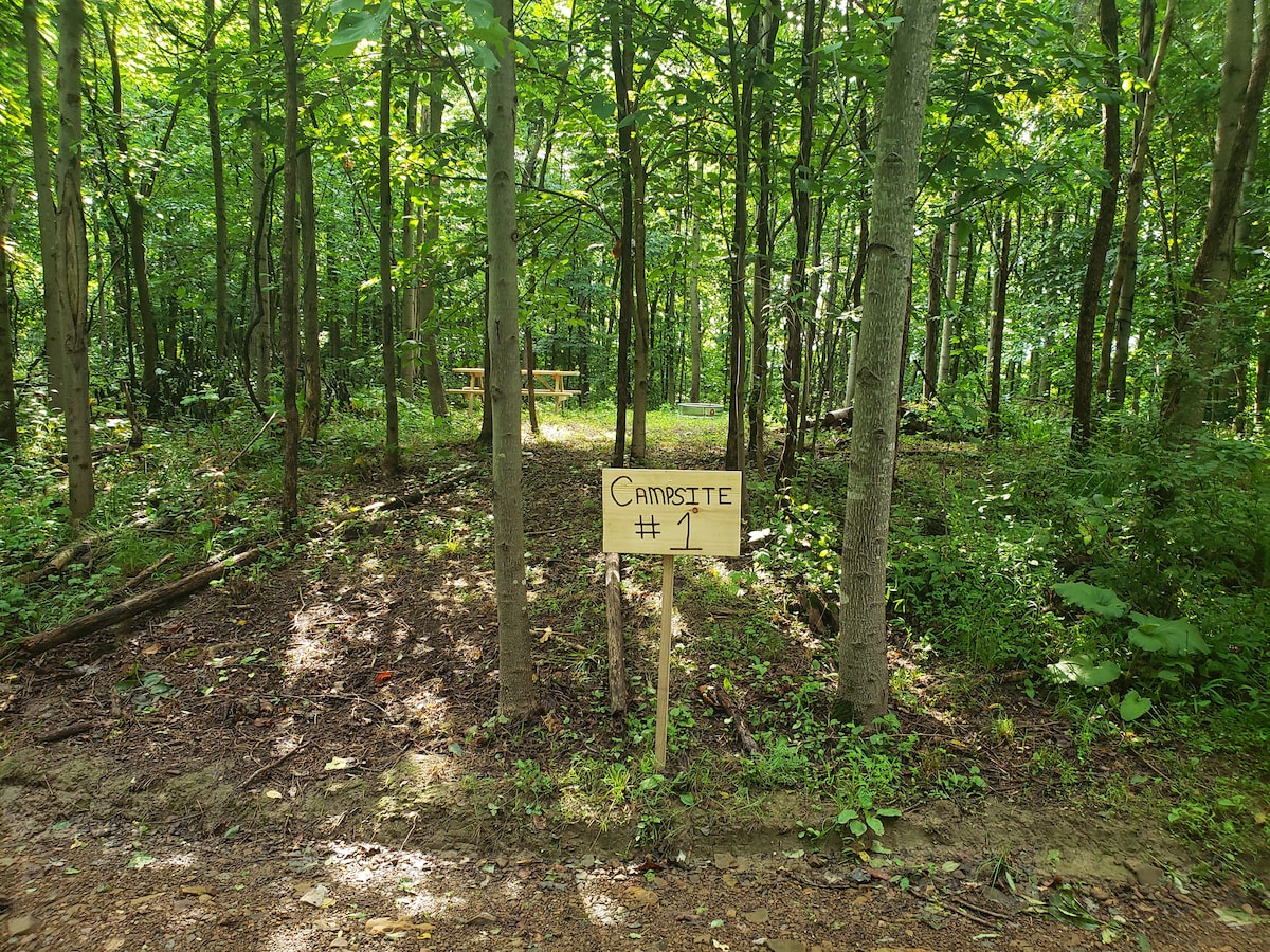 High Point Farm Campsite # 1