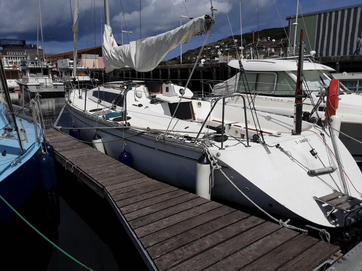 帆船全方位舒适，是费坎普港的港口中心。