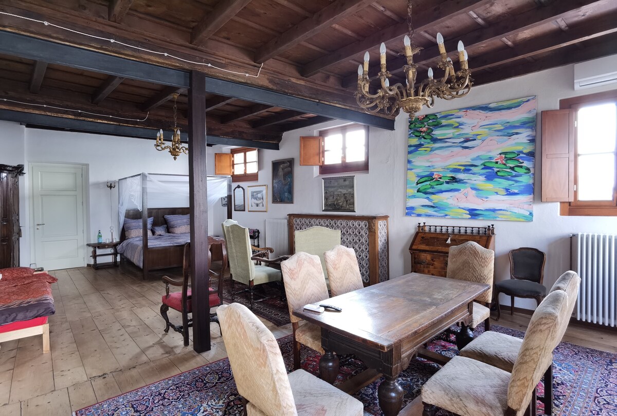 Villa Bonola - Artist Loft