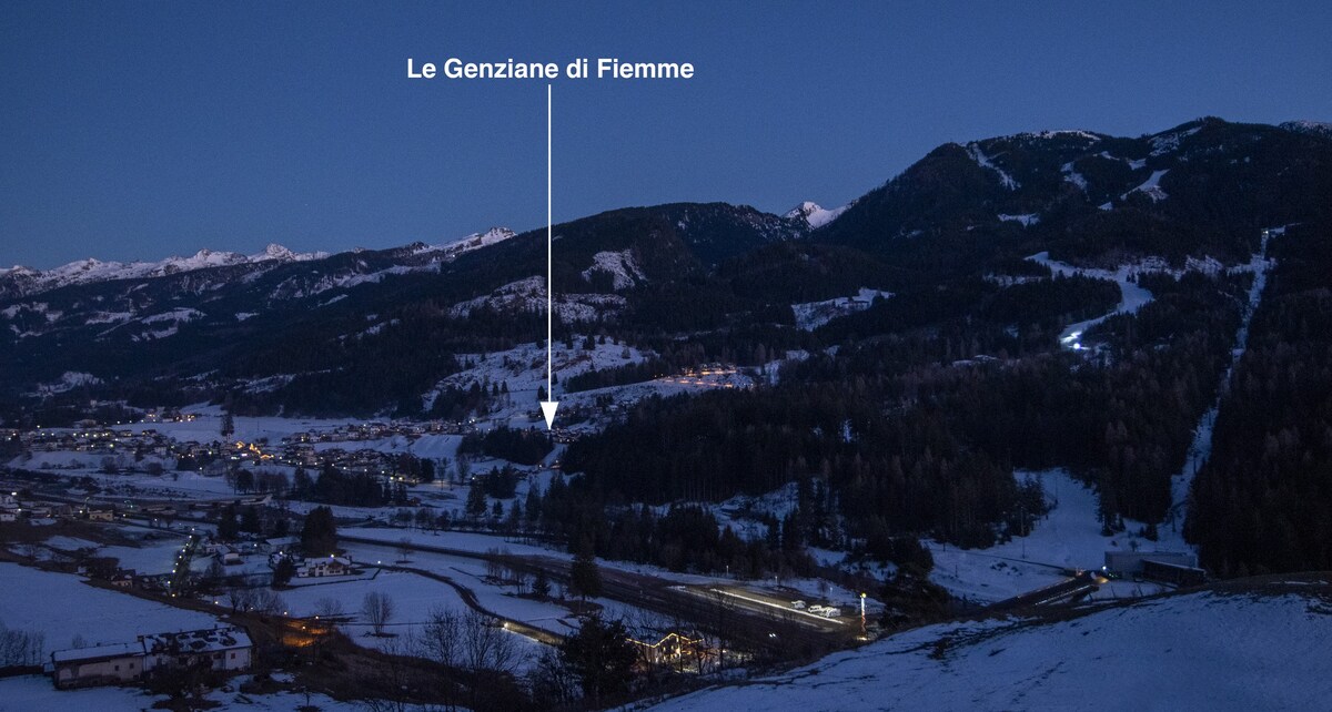 Mansarda Le Genziane di Fiemme -四周环绕着绿化