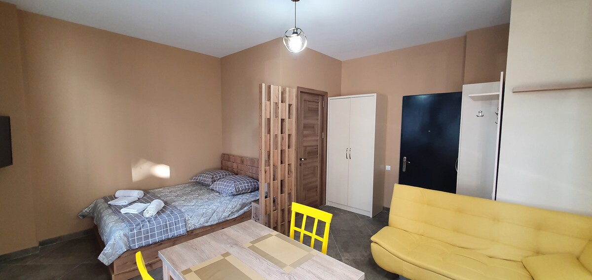 Shiny 1-bedroom apartment