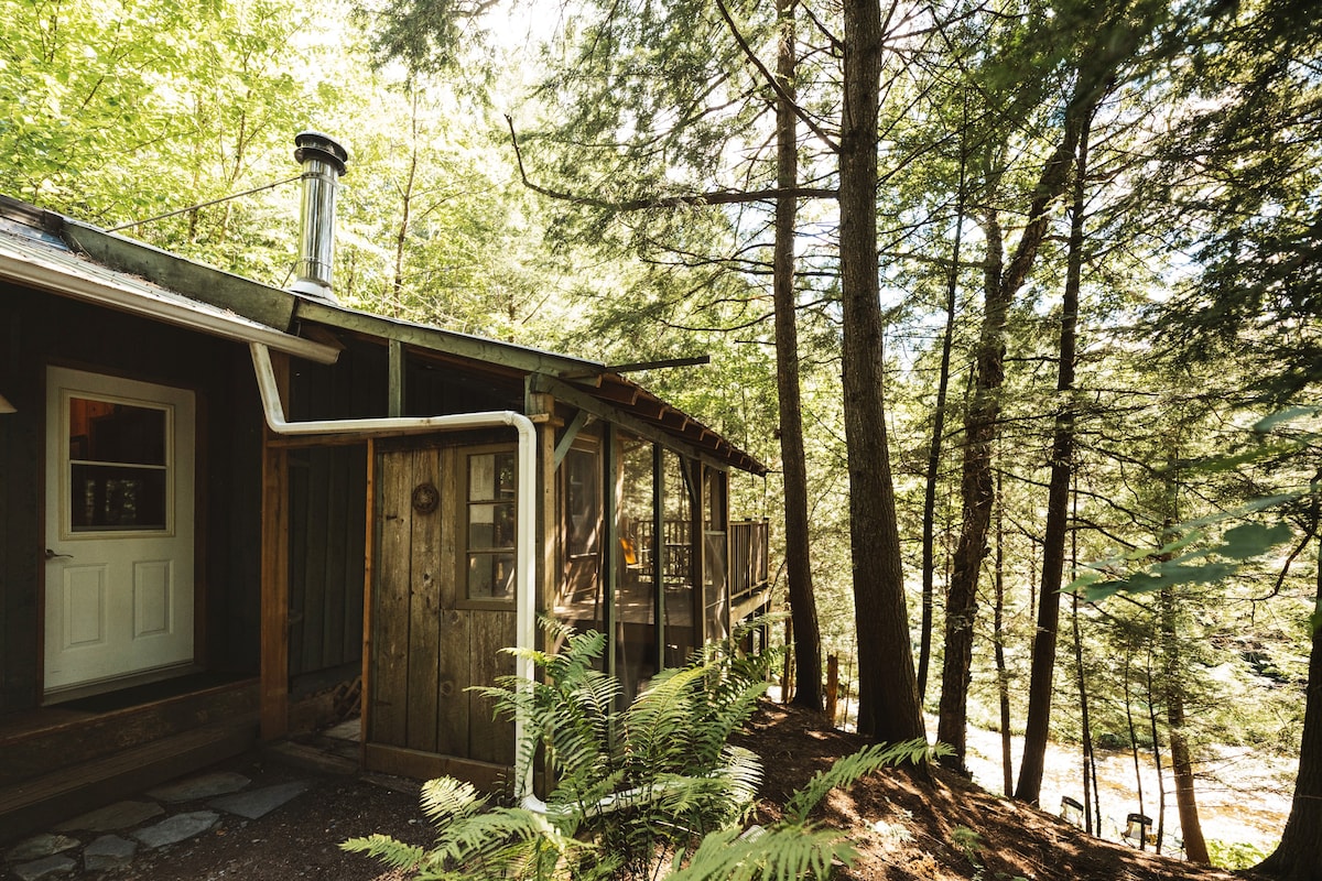 Chalet en forêt au bord de l'eau