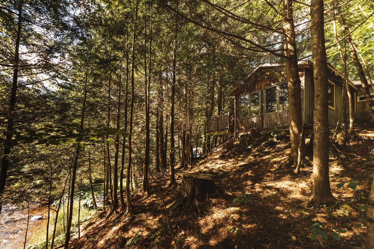 Chalet en forêt au bord de l'eau