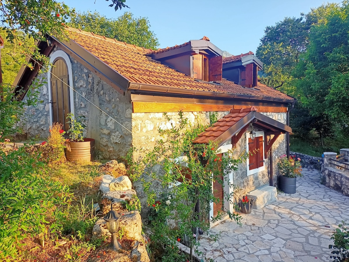 Strugari Little Old House