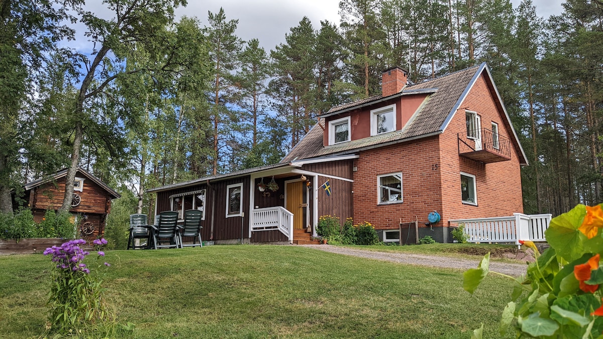 Mysigt hus vid skogskanten