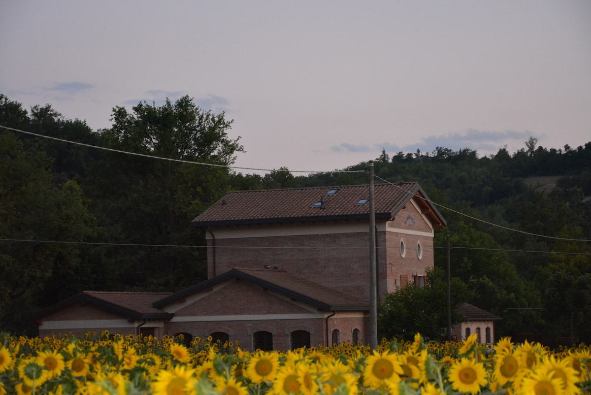 Caseificio1909 in the Matilde di Canossa Hills