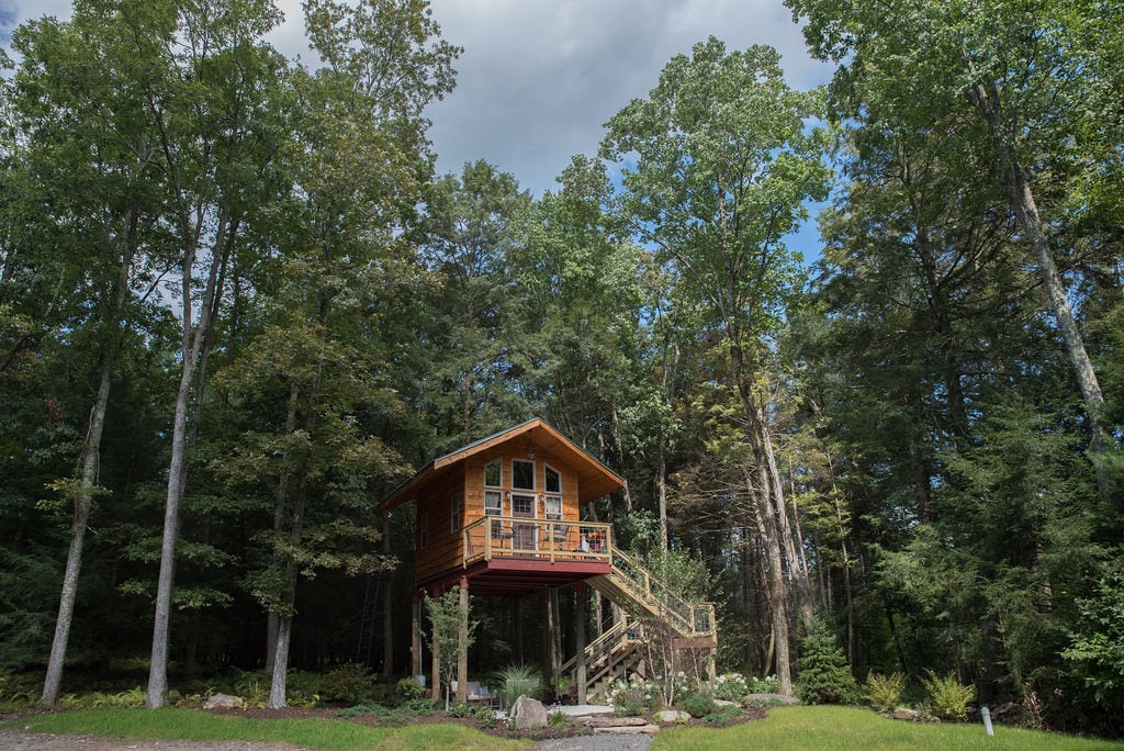 Cottage in the Woods- Owls Nest Treehouse