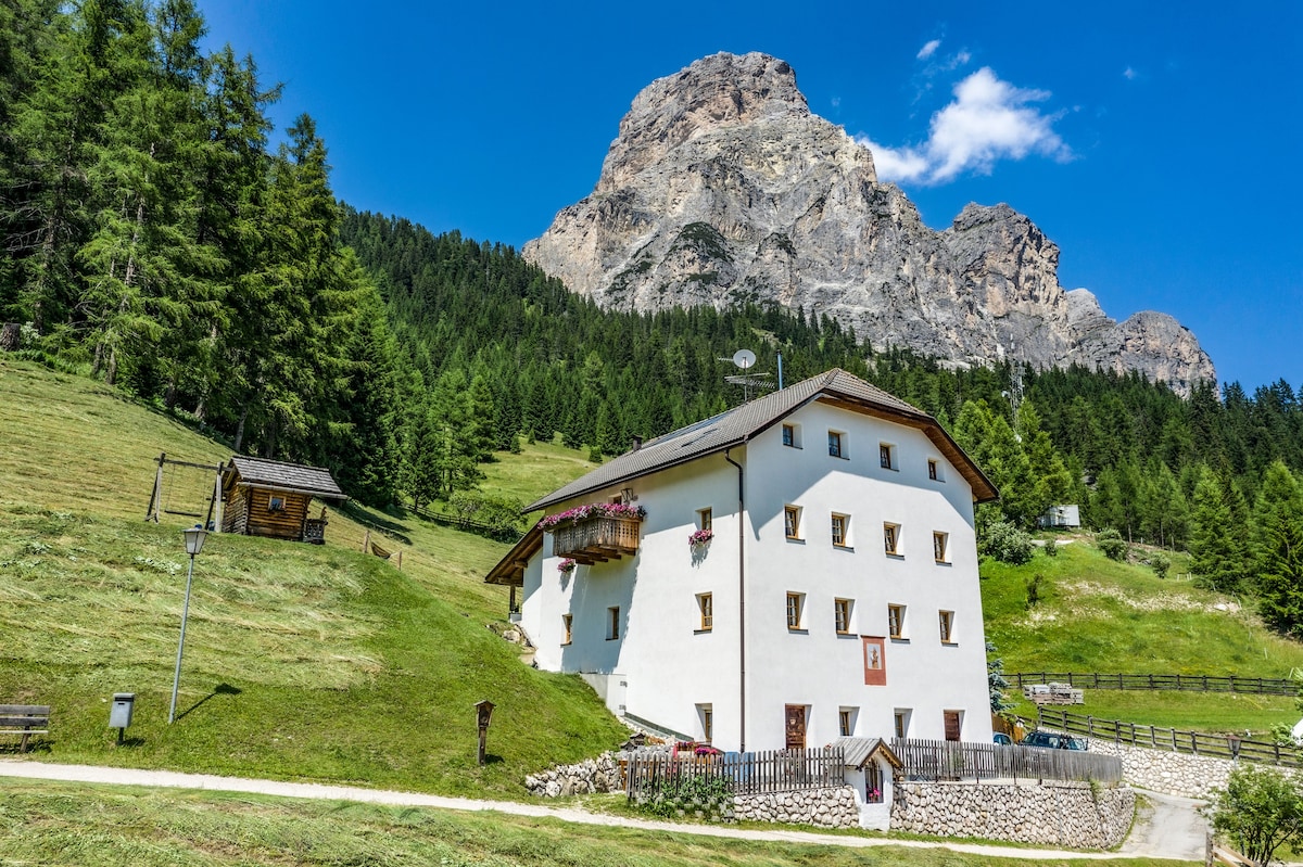 An authentic alpine Airbnb for nature enthusiasts