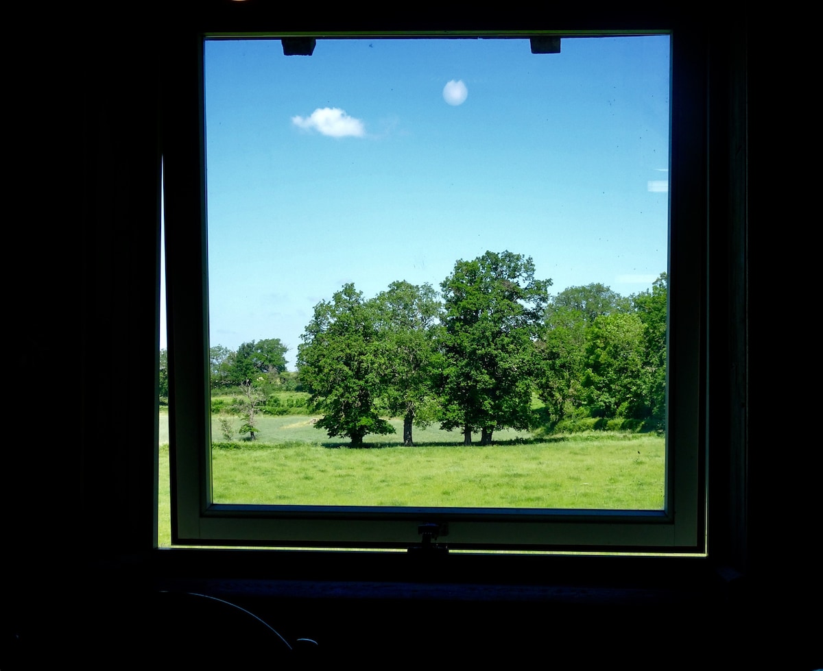 Holiday home with sauna. peaceful calm: Larecup