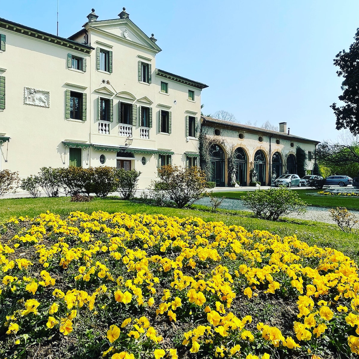 维图里别墅（ Villa Vitturi ）