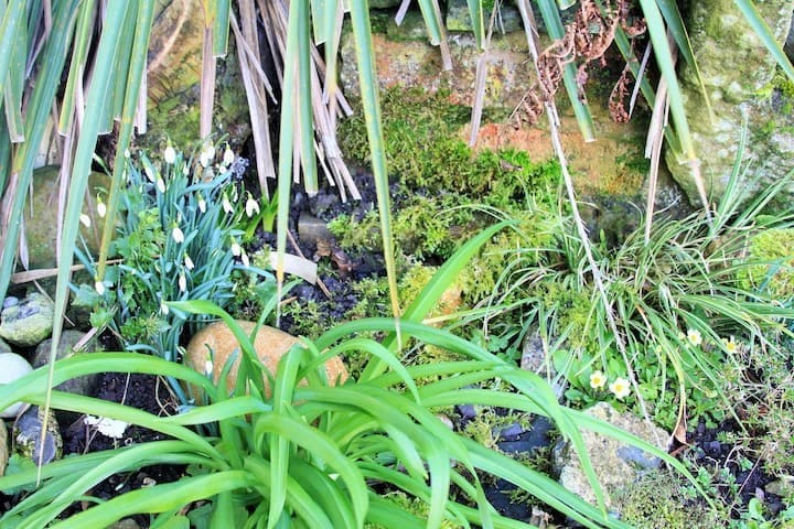 漂亮的单卧室住宅小屋