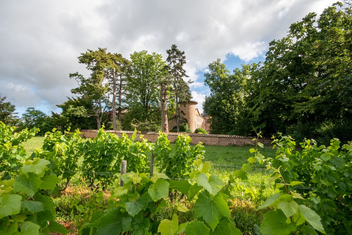 博若莱城堡（ Château du Beaujolais ）的美丽公寓