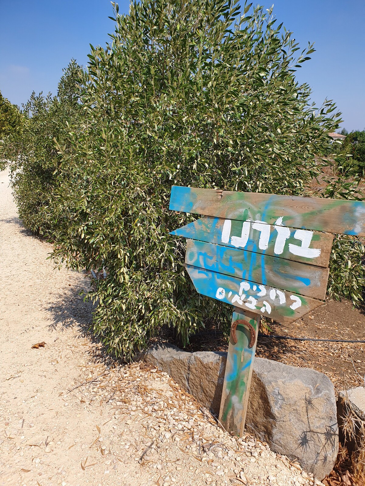 משק בדרום רמת הגולן.