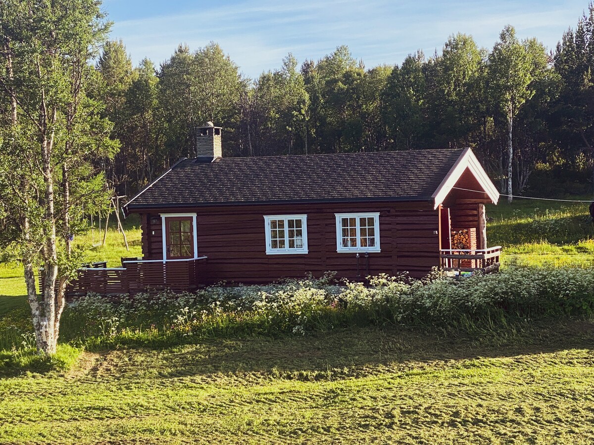位于罗罗斯（ Røros ）的绝佳小木屋，景观优美