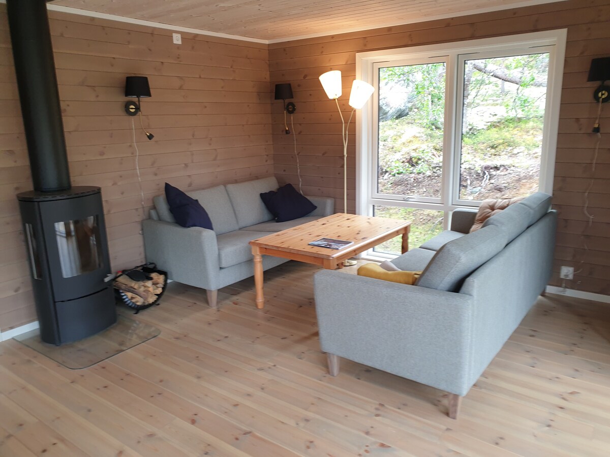 位于Besseggen附近Jotunheimen的新小木屋