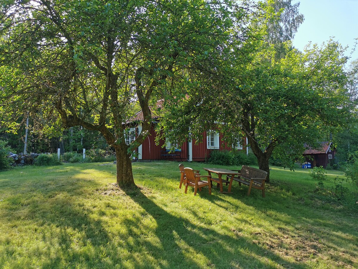 乡村舒适的树木小屋。