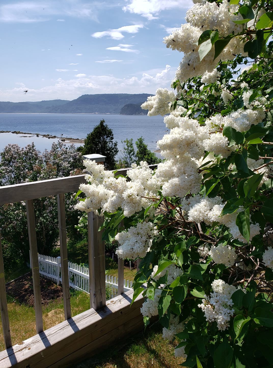 Chalet de l 'Anse à Ti-Foui