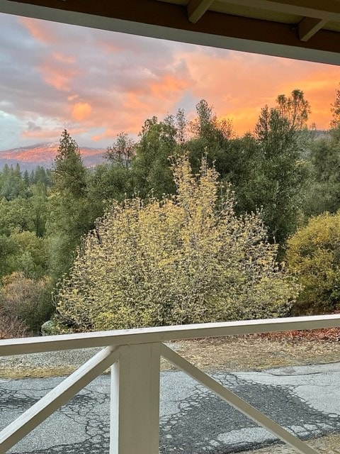 Unwind with treetop views, deck, fenced yard