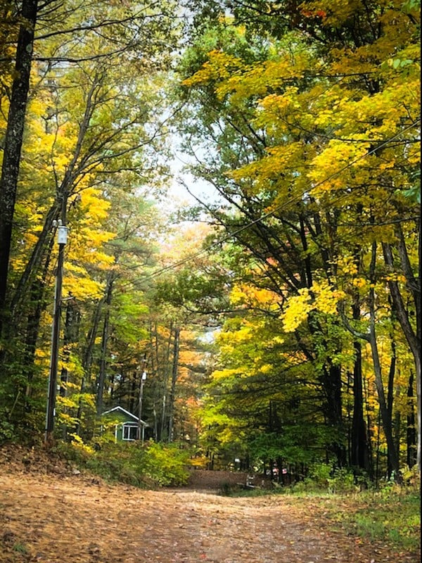 Amazing, Cottage on High Lake w/ Shared Lake Front