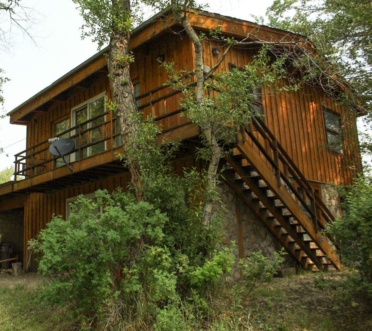 Bob 's TreeHouse