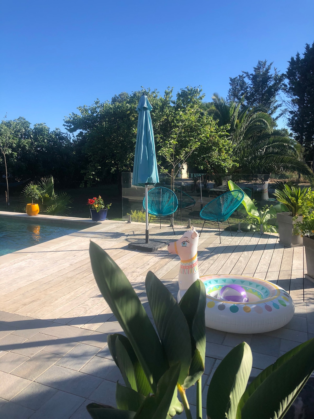 Maison chaleureuse piscine en petite Camargue