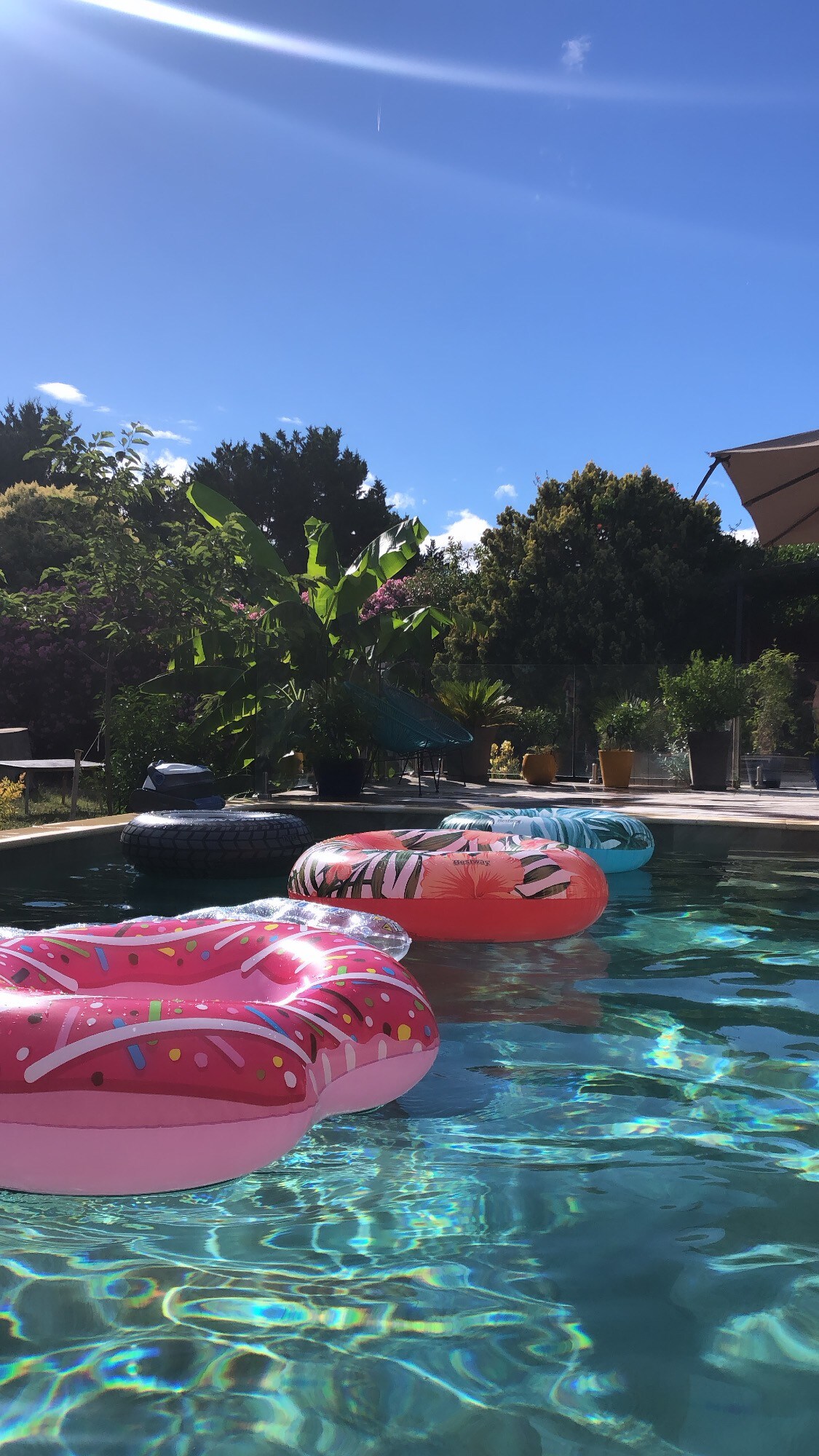 Maison chaleureuse piscine en petite Camargue