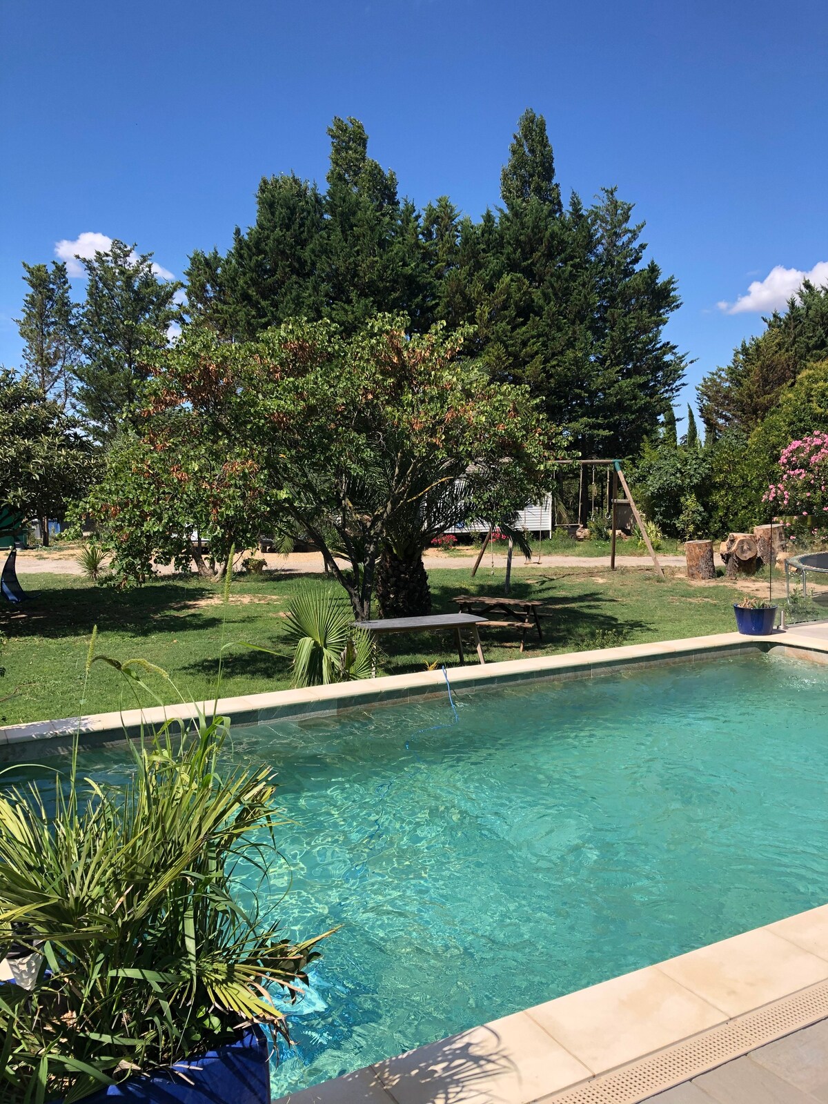 Maison chaleureuse piscine en petite Camargue