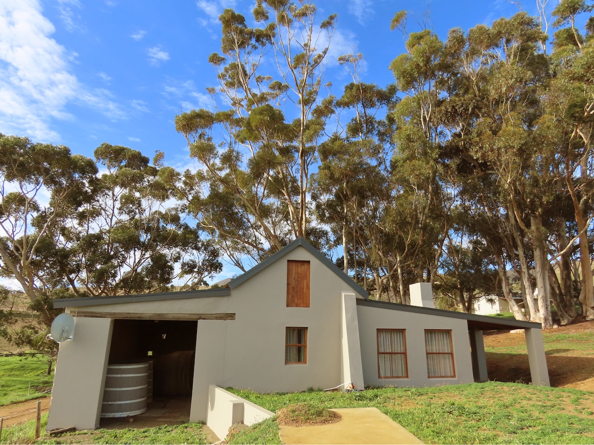 Renovated old shed house