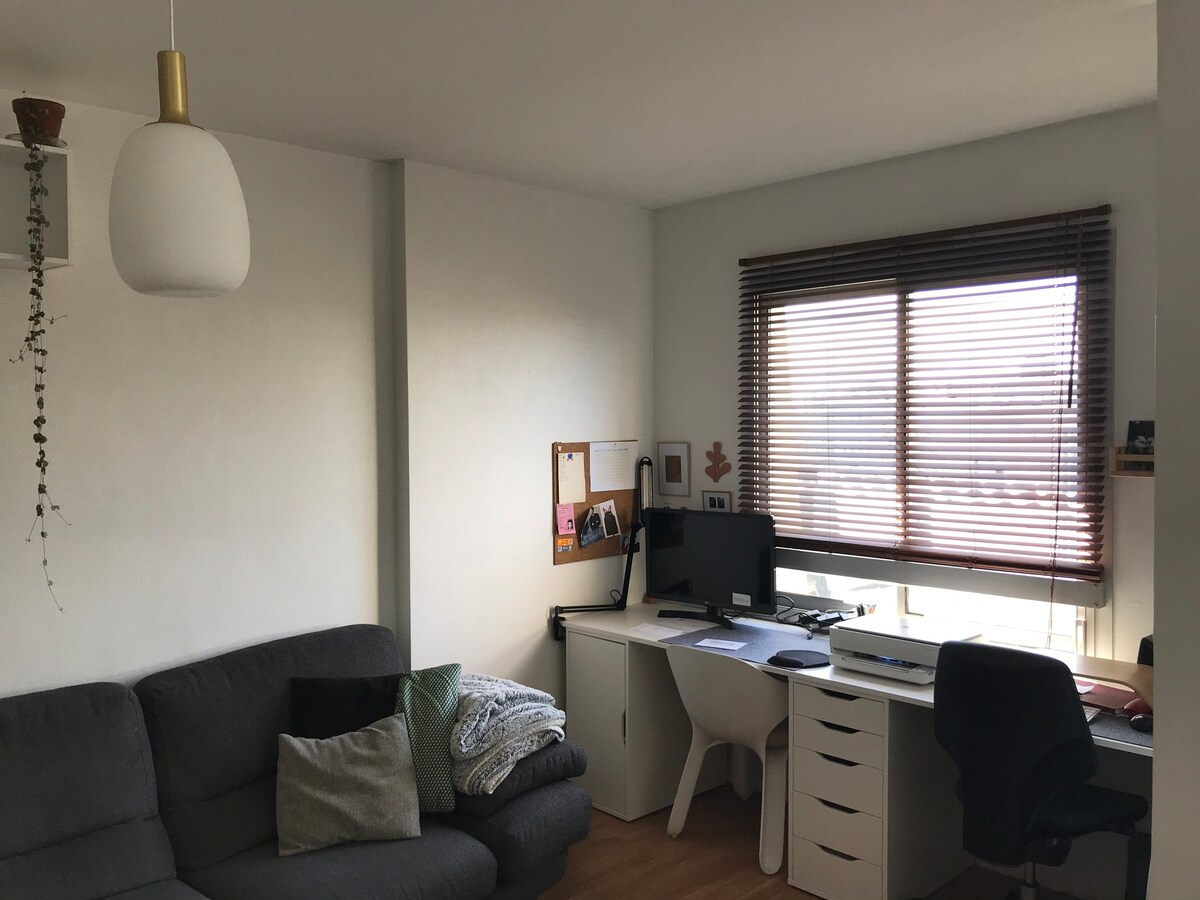 Appartement cosy et  lumineux, centre de Rennes