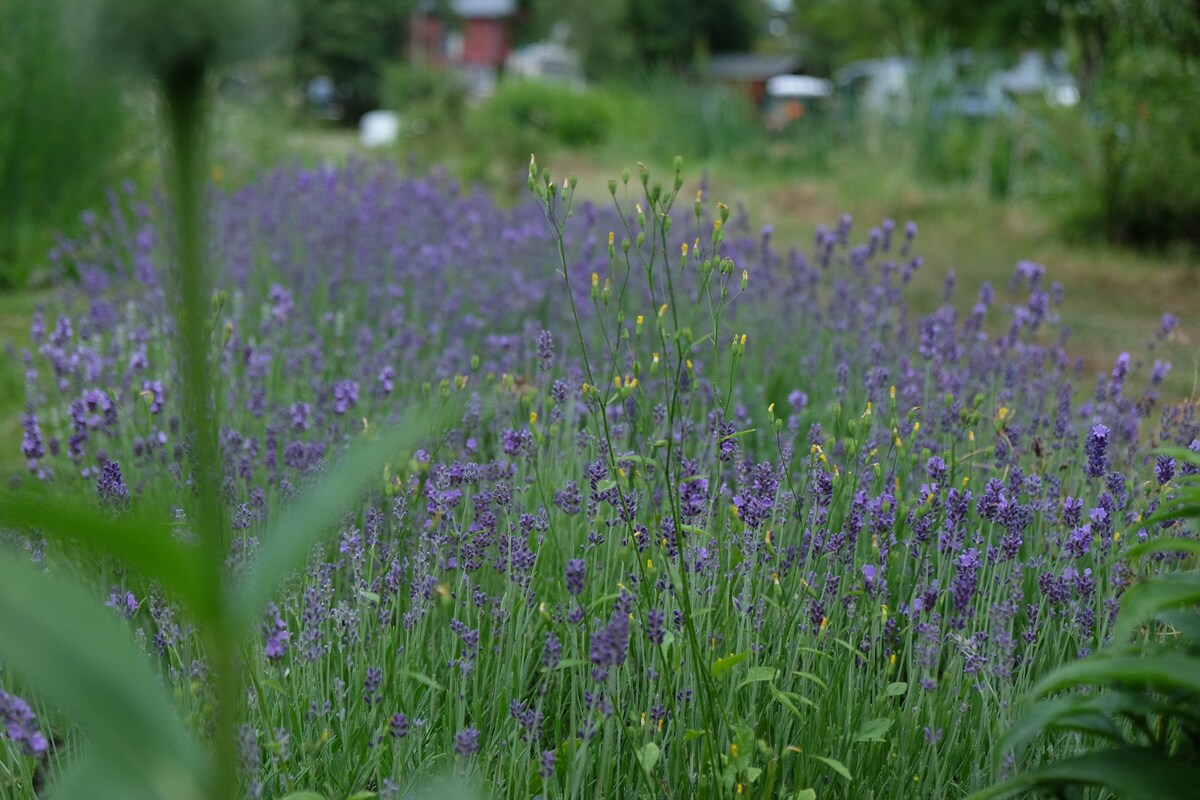 Brändö Bike and Bed, enkelrum B&B