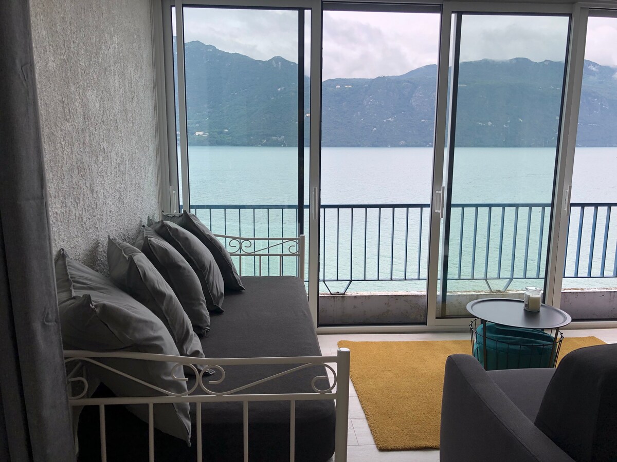 面向Lac du Bourget美丽景观的公寓。