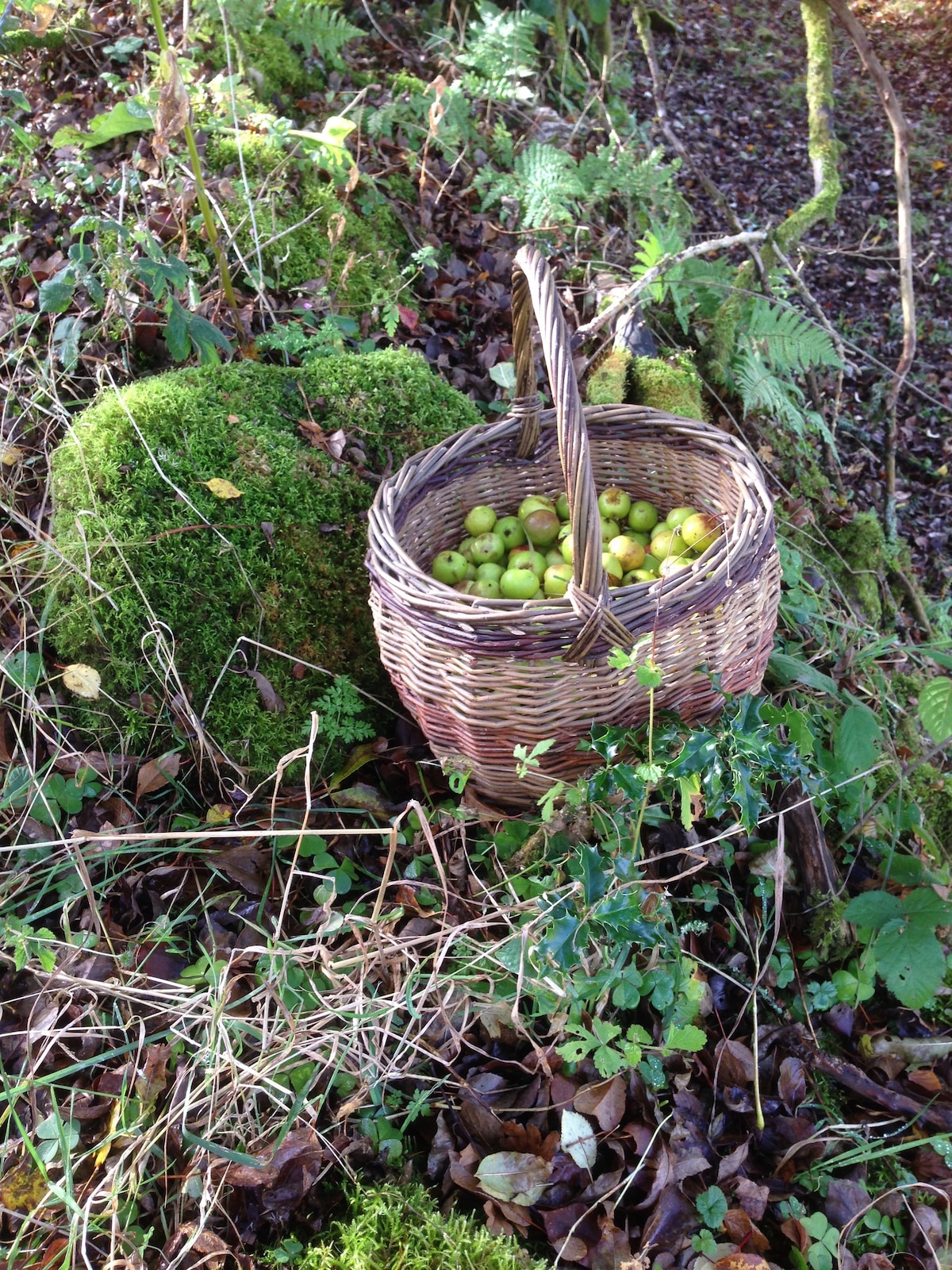 Basketmakers Stay 1