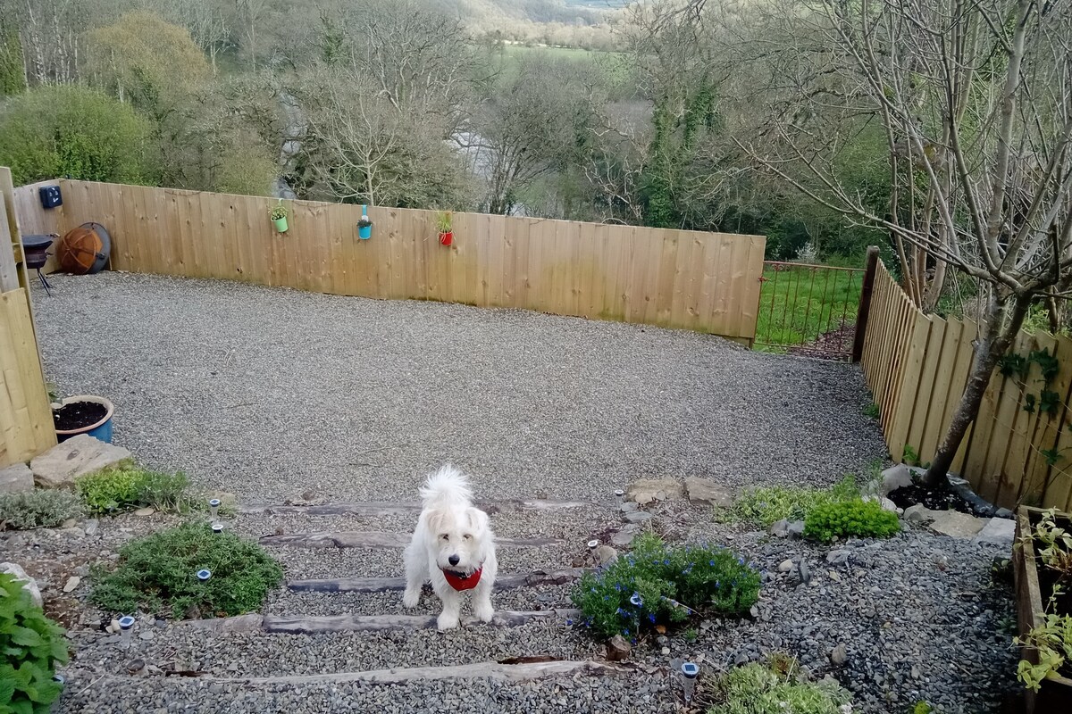 Caban Teifi - Snug hideout for 2 with dog paddock.