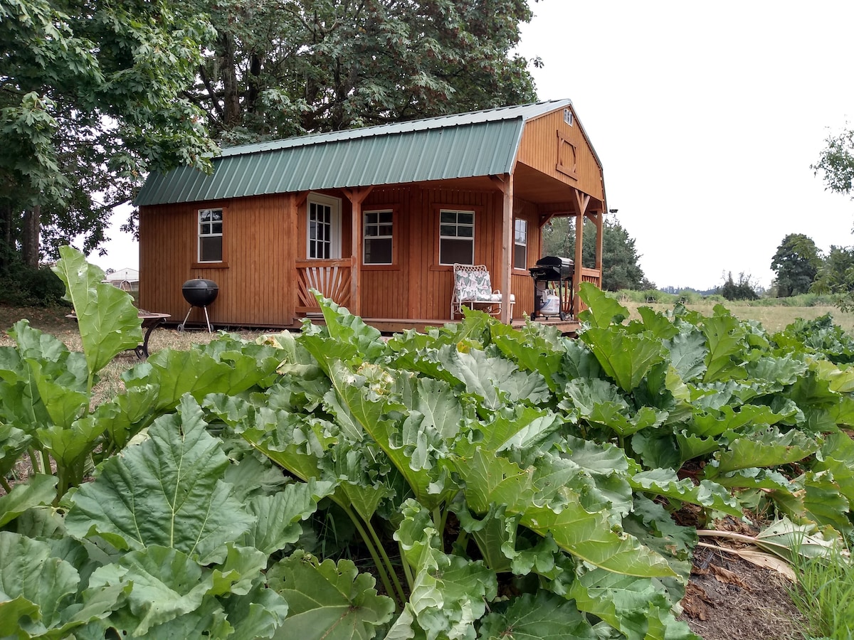 Lilly Pond Cabin ，干燥的「露营」