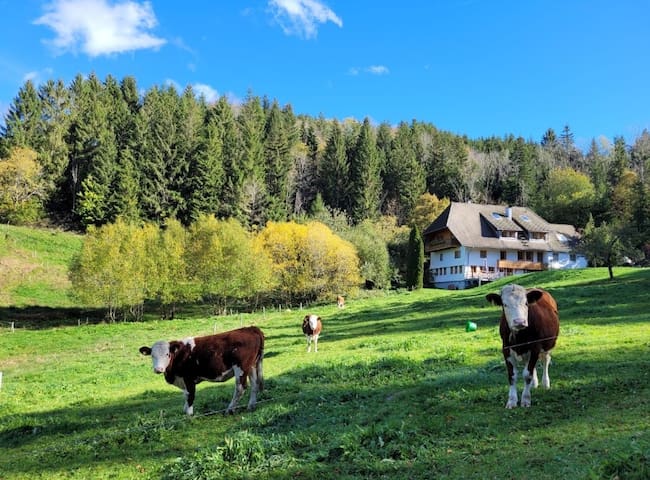 Triberg im Schwarzwald的民宿