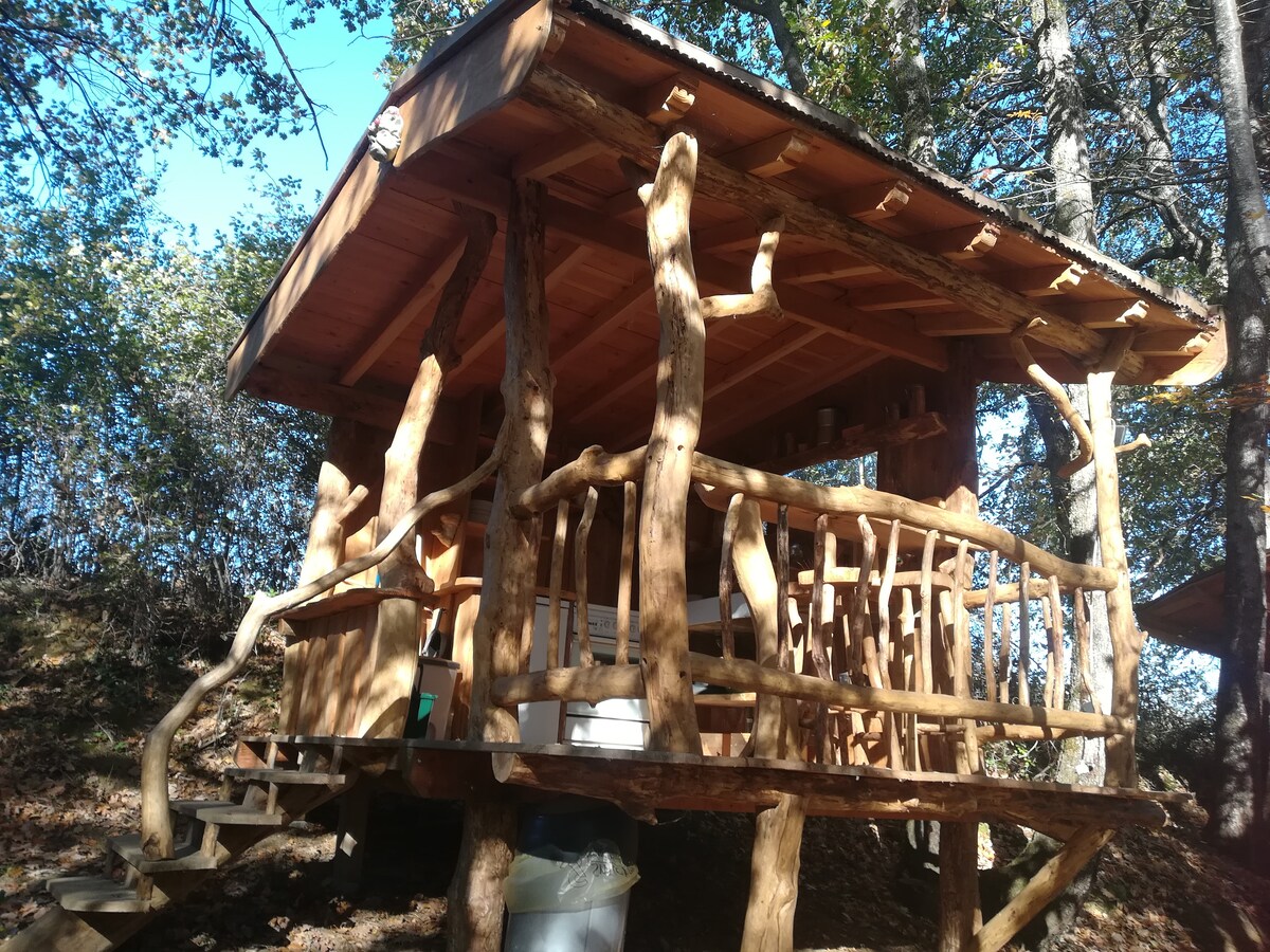 Cabane insolite avec piscine naturelle et sauna