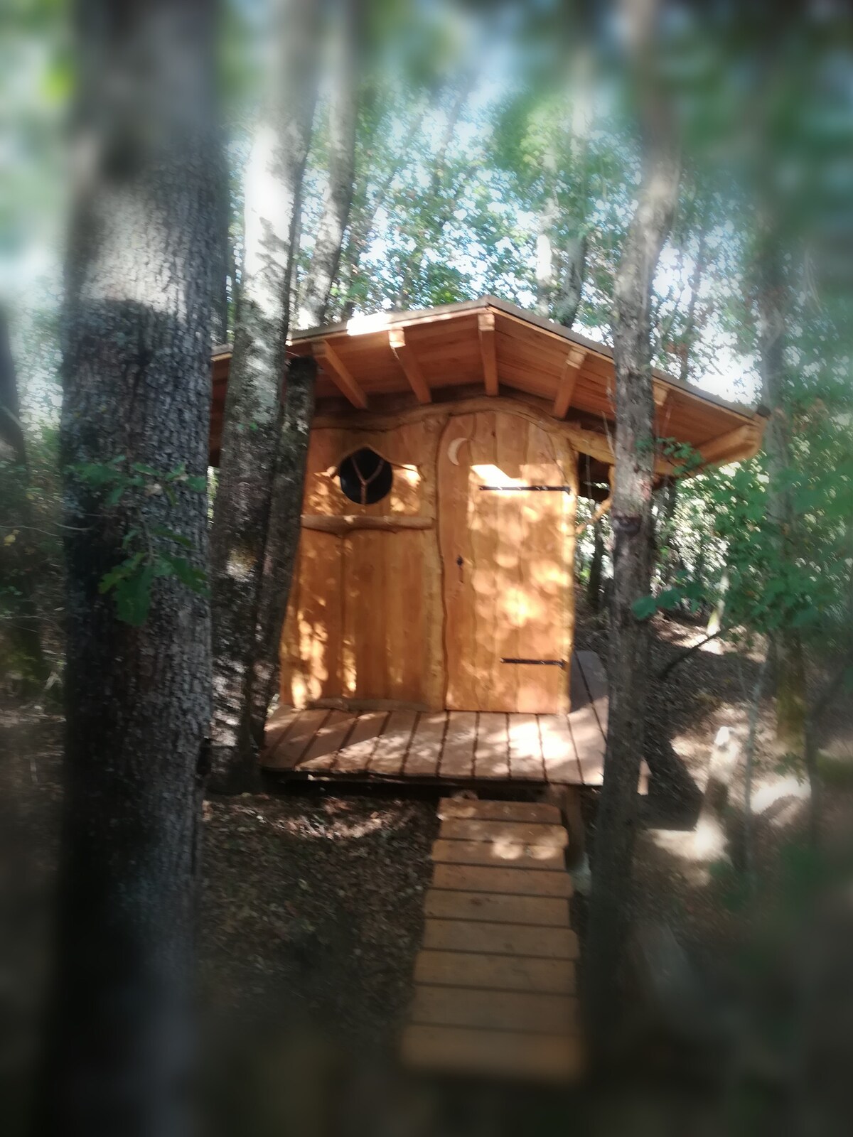 Cabane insolite avec piscine naturelle et sauna