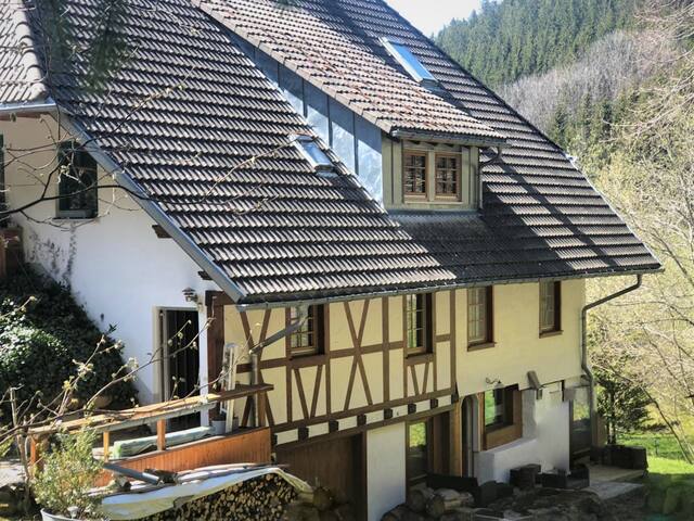Triberg im Schwarzwald的民宿