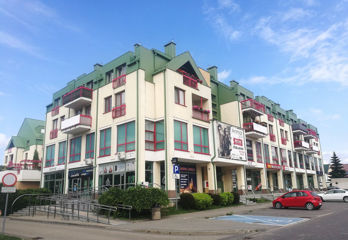 Suwałki站，位于市中心，宽敞的单间公寓。