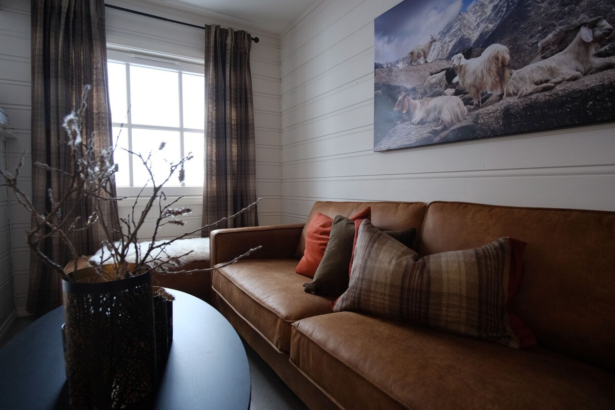 泰因渡山小屋（ Tyin crossing mountain lodge ）新装修的公寓。
