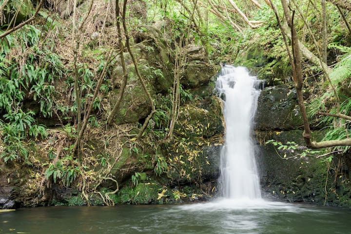 小河村的民宿