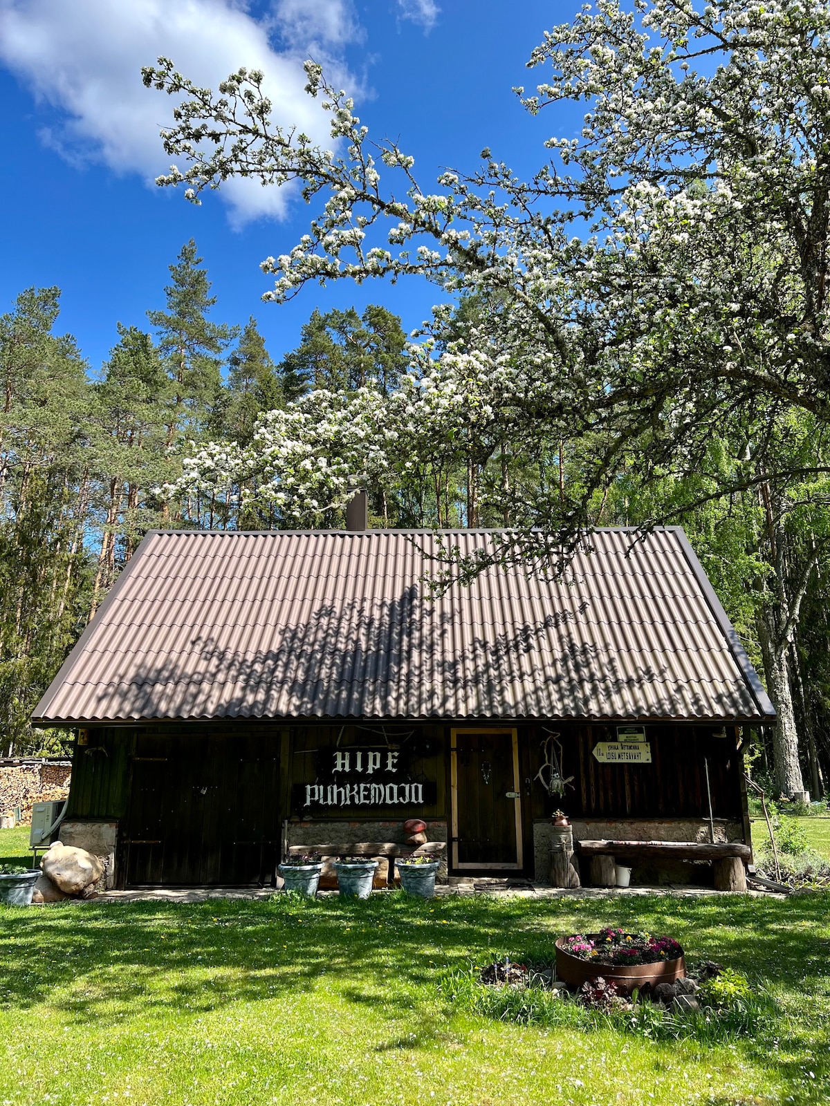 Cheerful wooden cabin at Lahemaa National Park