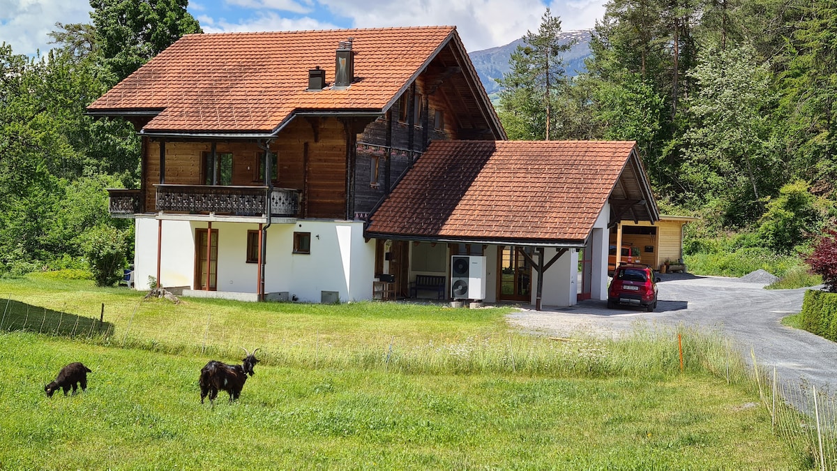 3-Zimmerwohnung im Chaletstil, 
Rheinschlucht